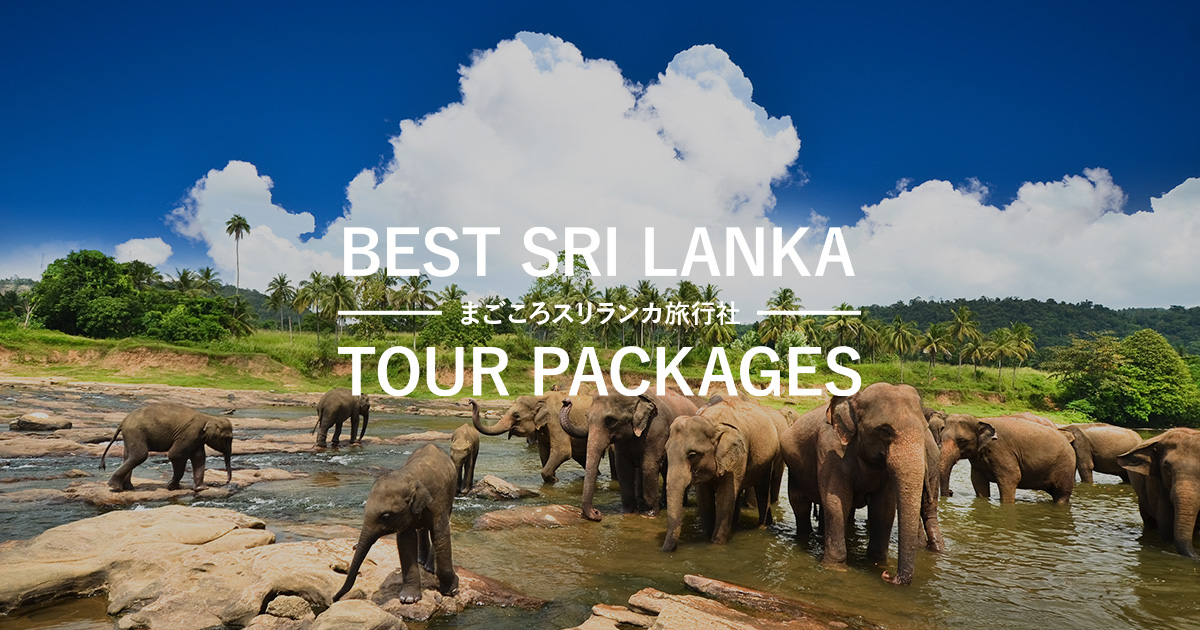 シナモン ワイルド ヤラ スリランカ提携ホテル まごころスリランカ旅行社|スリランカ観光ツアーガイド